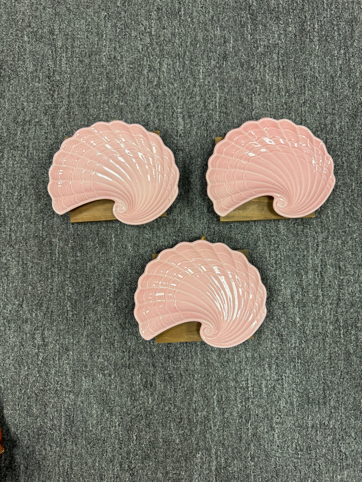 Pink Shell Wall Decor