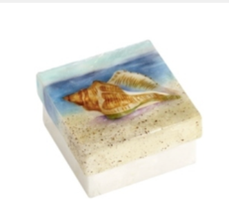 E Capiz Box Conch Shell