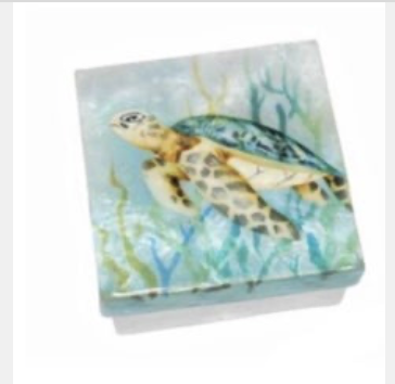 Sea Turtle Capiz Box III