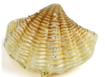 Bejeweled Seashell Box