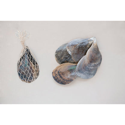 Pen Clam Shells in Bag