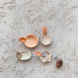 Stoneware Shell Dish with Shell Shaped Handle