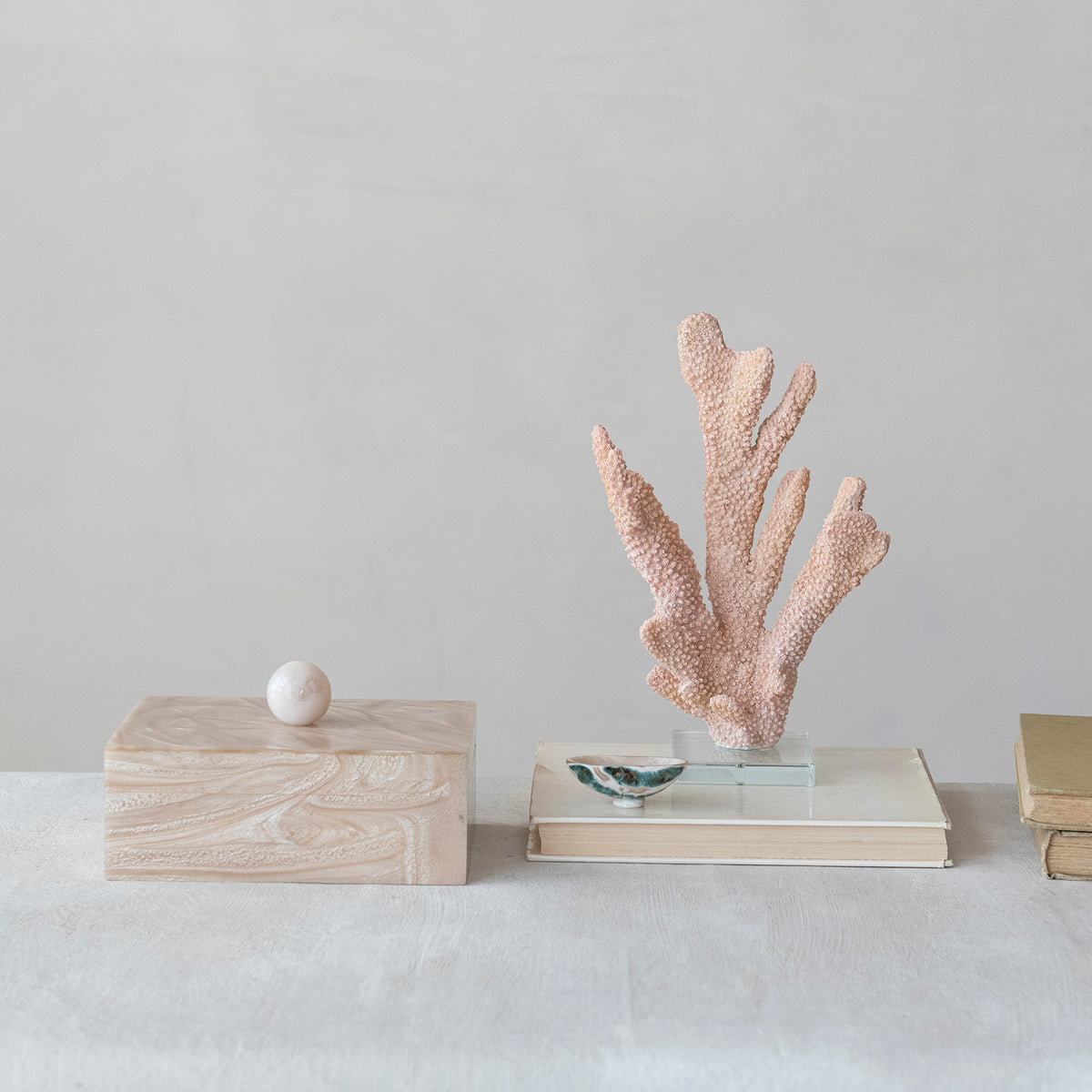 Natural Shell Footed Dish