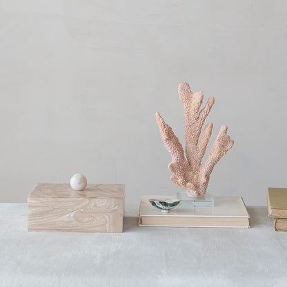 Natural Shell Footed Dish