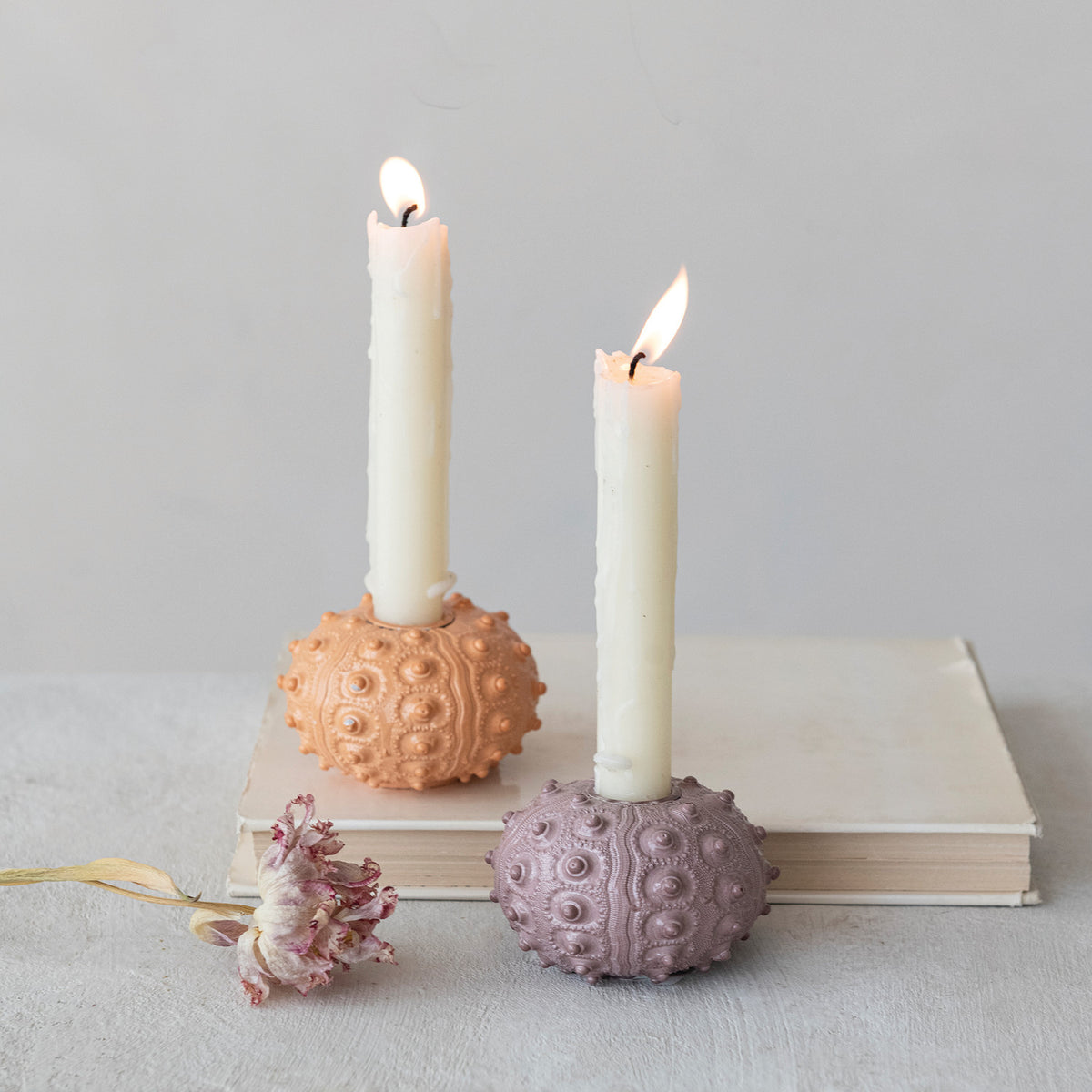 Sea Urchin Shaped Taper Holder (Set)