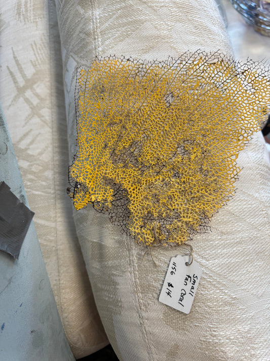 Sea Fan - Yellow
