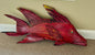 Cypress Hogfish (Red)