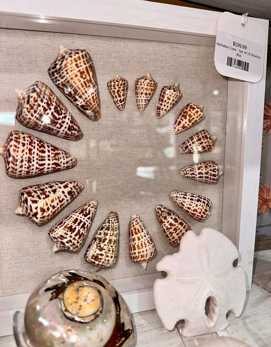 Alphabet Cone - Set of 15 Shadow Box