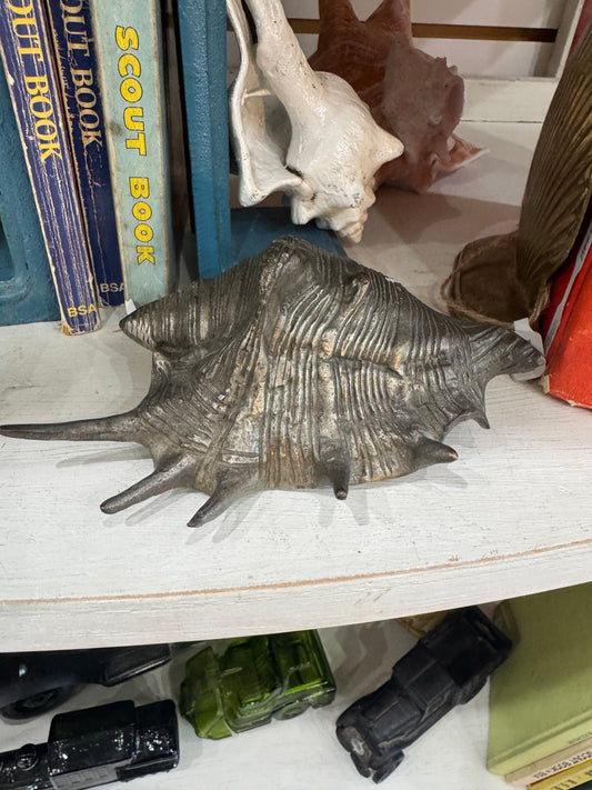 Brass Sea Shell - Vintage
