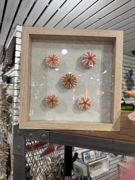Shadow Box - Custom Shells