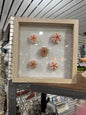 Shadow Box - Custom Shells
