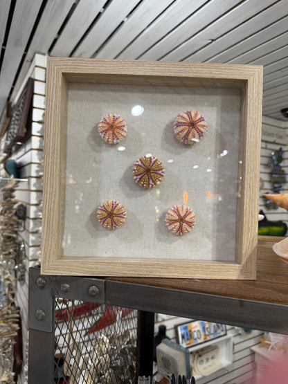 Shadow Box - Custom Shells