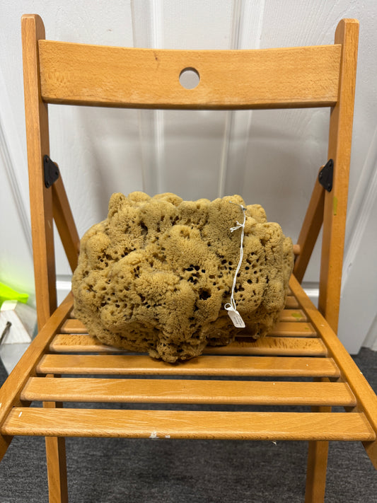 Large Natural Sponge