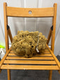 Large Natural Sponge