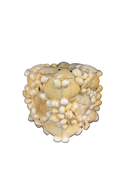 Shell Tissue Box
