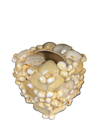 Shell Tissue Box