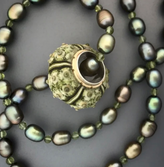 Satellite Sea Urchin Shell Necklace
