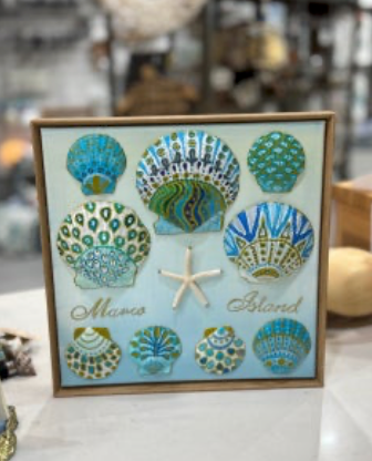 Sugaree Shells 12x12 Framed Canvas - Marco Island
