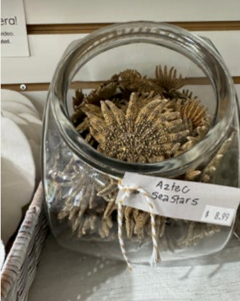 Aztec Sea Stars