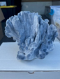 Coral - Blue