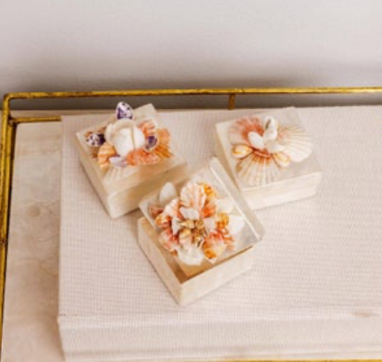 Capiz With Real Shell Accents Box