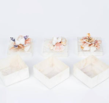Capiz With Real Shell Accents Box