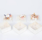 Capiz With Real Shell Accents Box