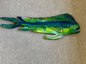 Cypress Mahi-mahi