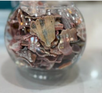 Clear Glass 5.5" Ball Vase - Local Shells