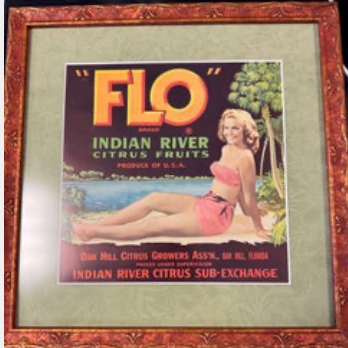 Vintage Framed Flo Brand Indian River Citrus Label