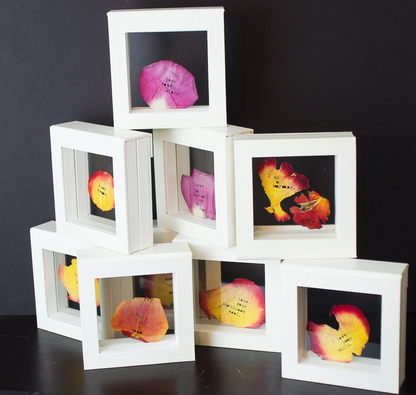 Shadowbox Display Box, novelty display stand for art photos