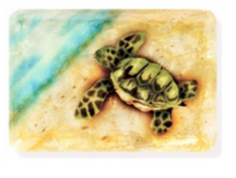 Baby Sea Turtle Tray