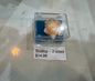 Scallop - 2 Sided