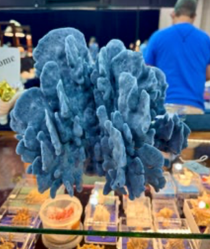 Coral - Blue