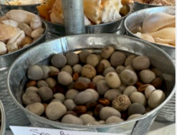 Sea Beans