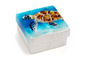 Sea Turtle Capiz Box
