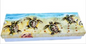 Baby Sea Turtle Capiz Box - Long