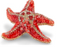 Bejeweled Starfish Box - Coral & Red