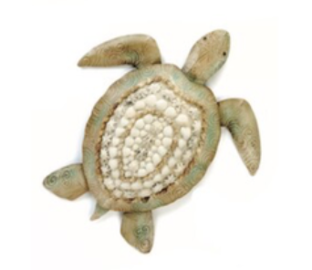 Sea Turtle & Shell Wall Décor