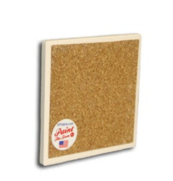 Sand Dollar Coaster – Marco Island Souvenir